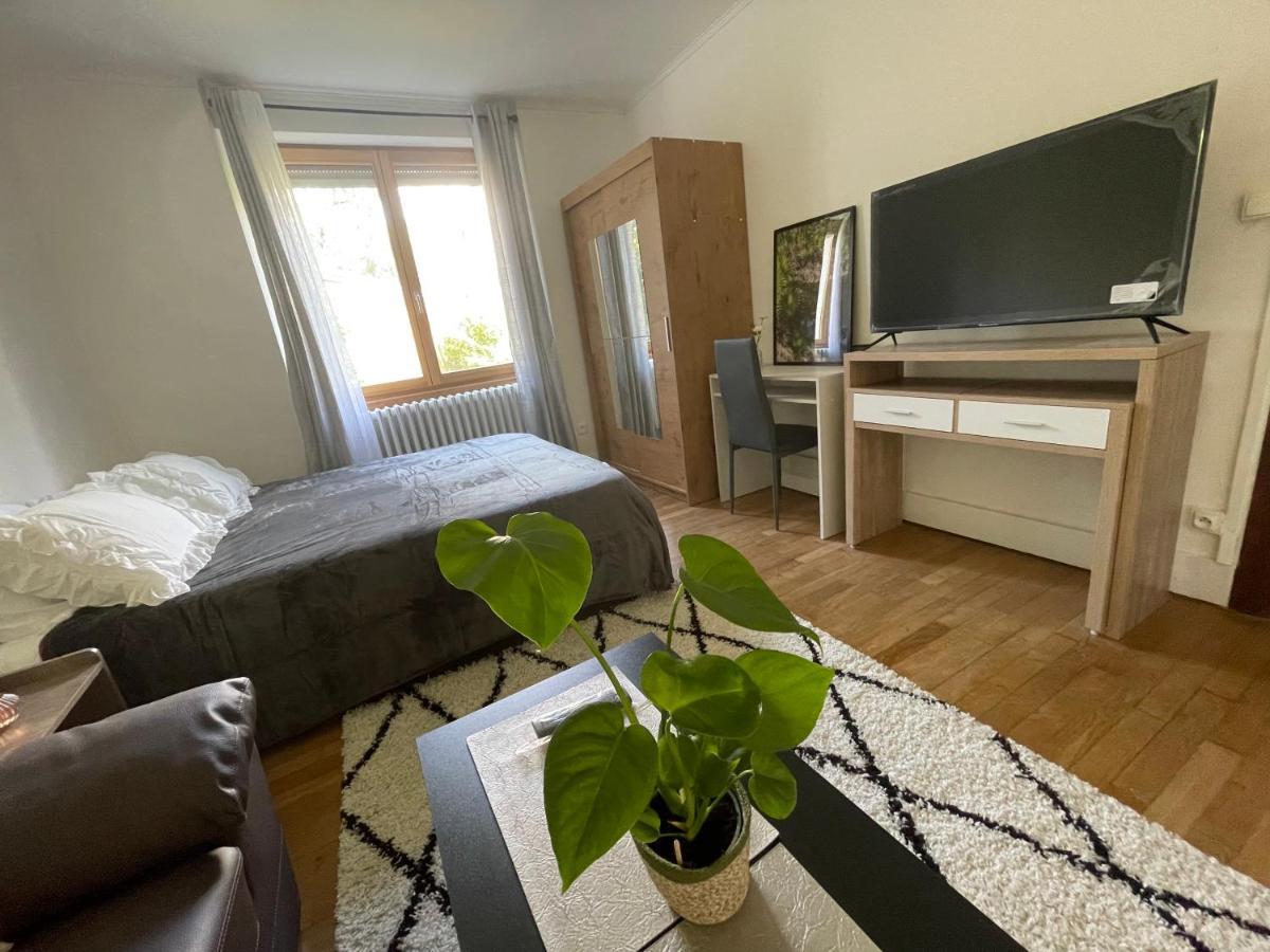Chambre Privee Vue Sur Le Jardin Proche Centre Ville Besançon Buitenkant foto